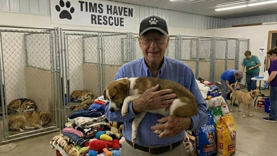 Help our shelter