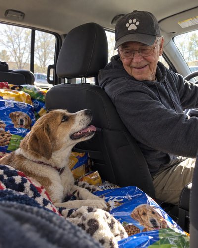 Help our shelter